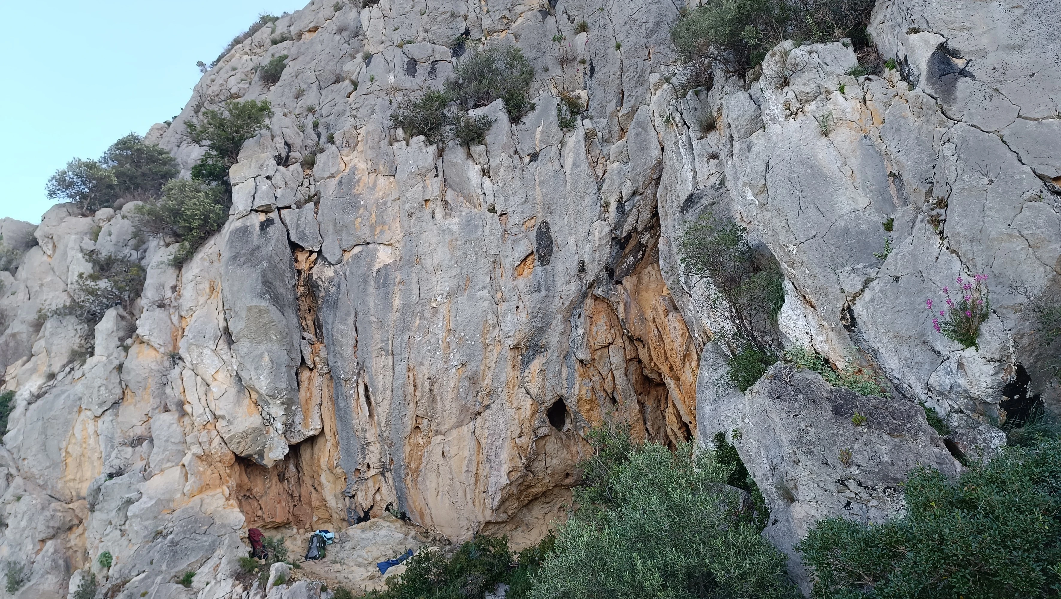 Canyigó