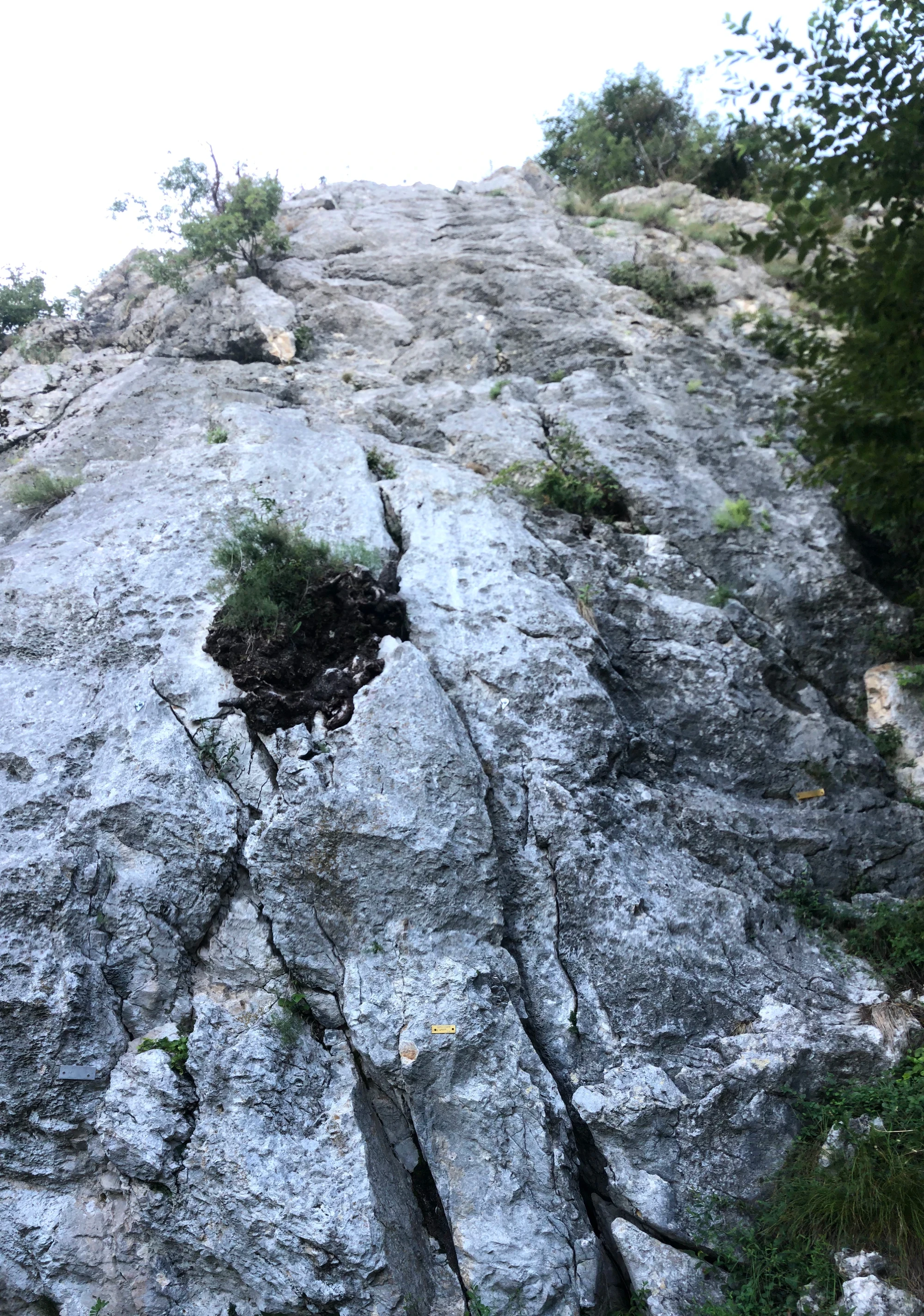 Settore principale, 100m a destra del settore A.