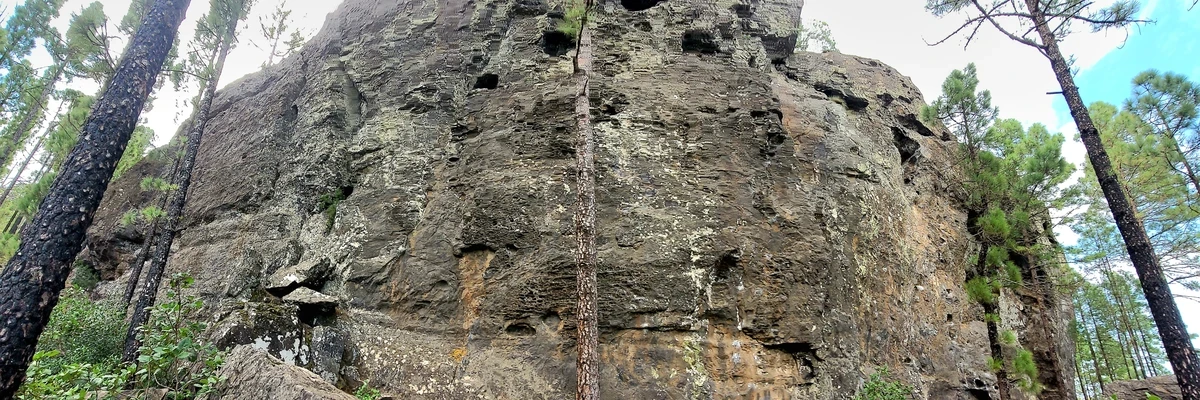 Camino