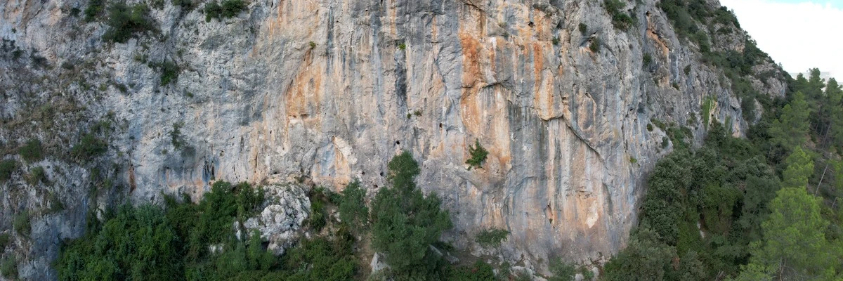 L'Escala de la Vida