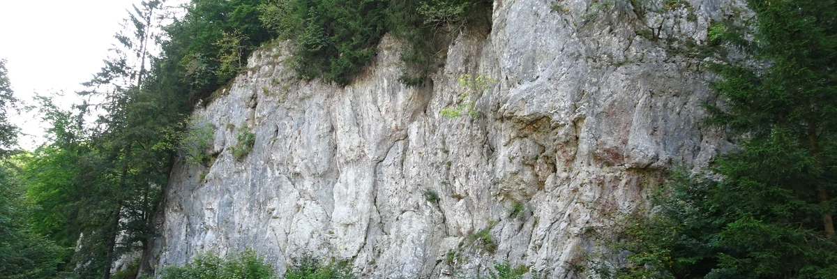 Hofsteigefels