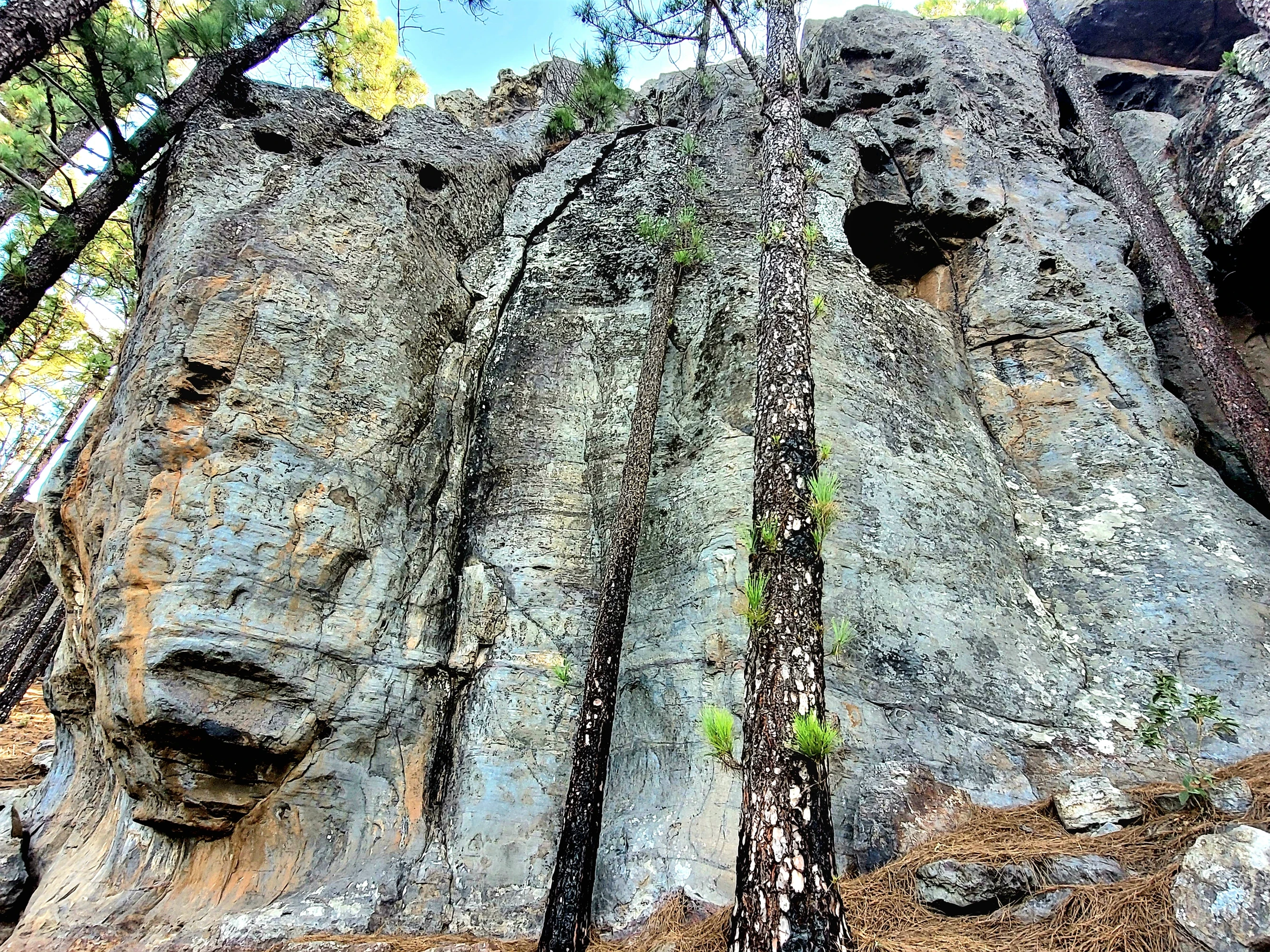 Campamento