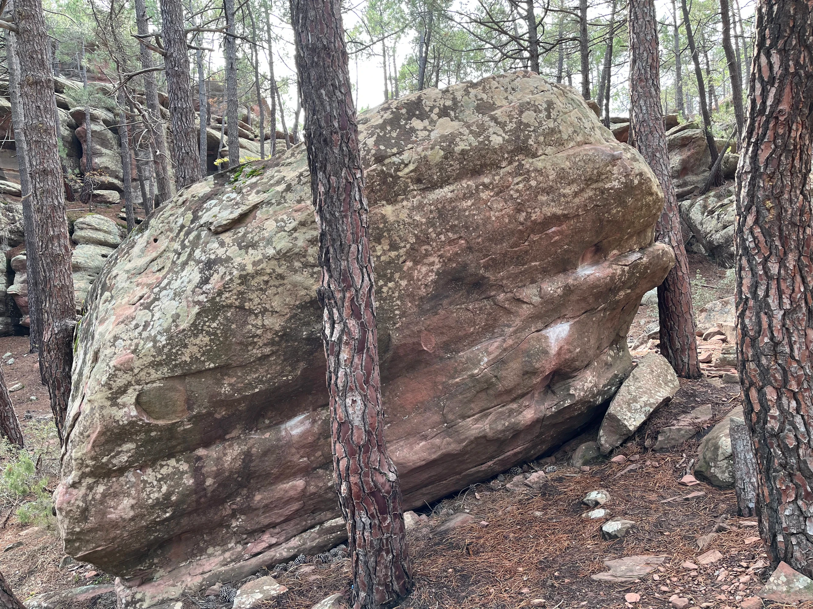 Boulder 26