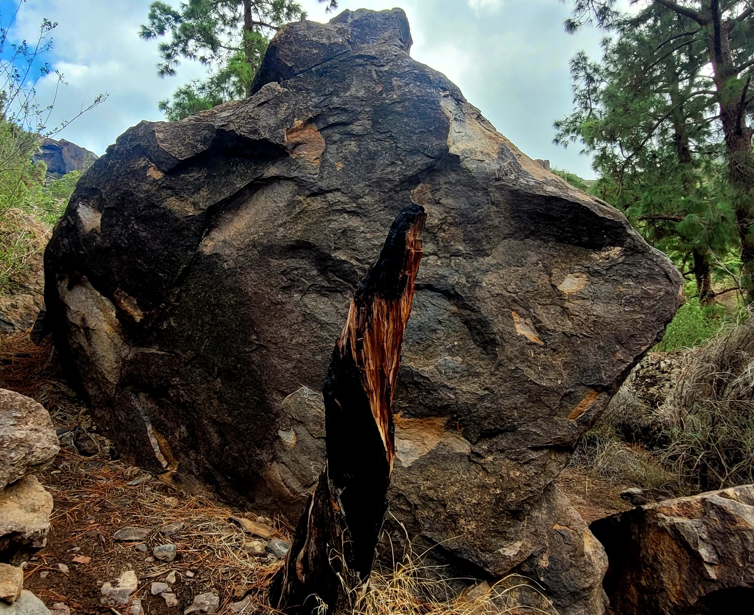 Medio Alto bloc 38