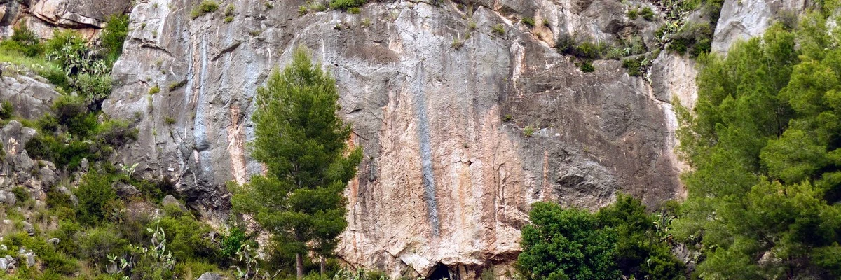 Árabe Loco
