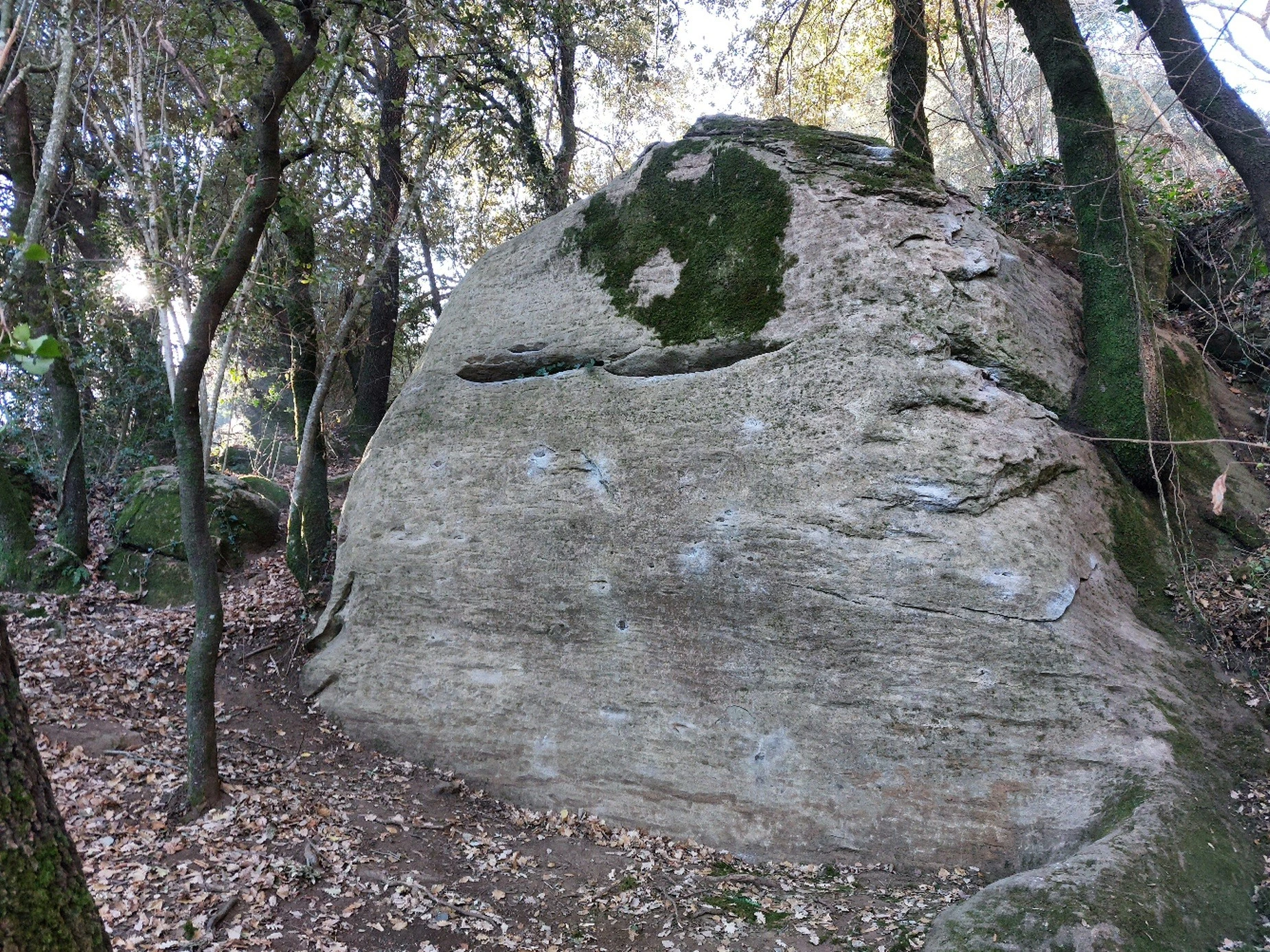 Bloc 1
