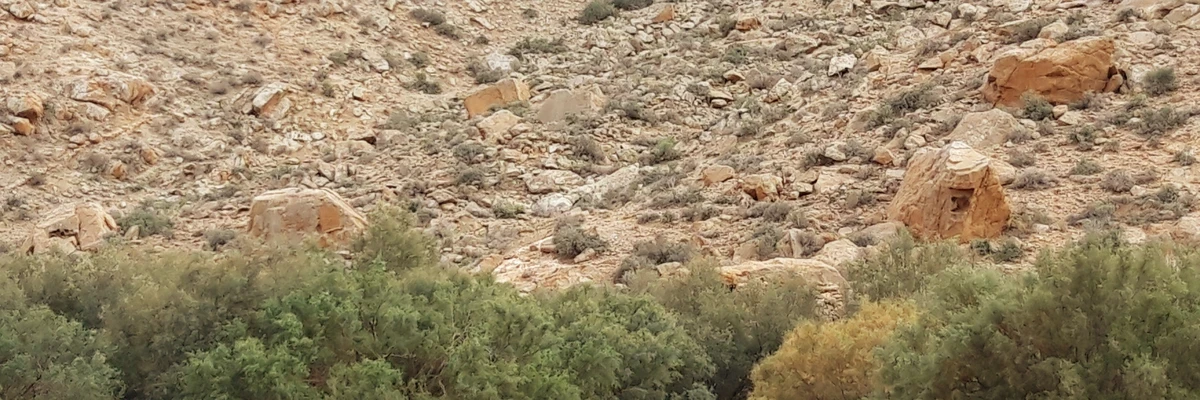Upper Dam