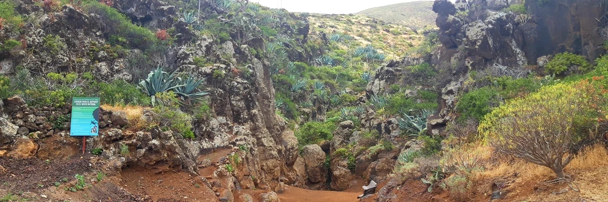 El Tejal