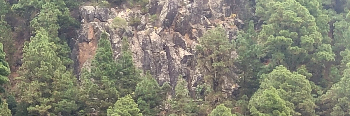 Perrera