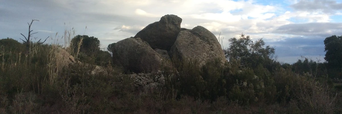 Blocs dels borregos