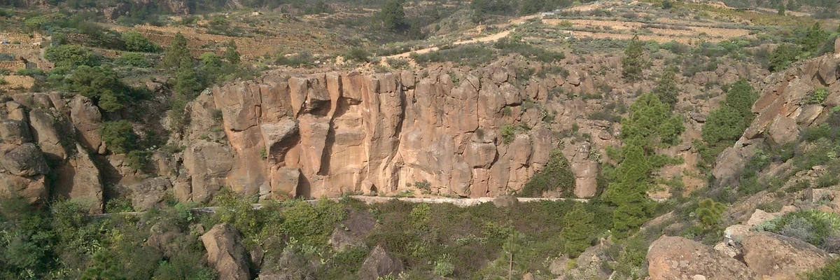 Los Naranjos