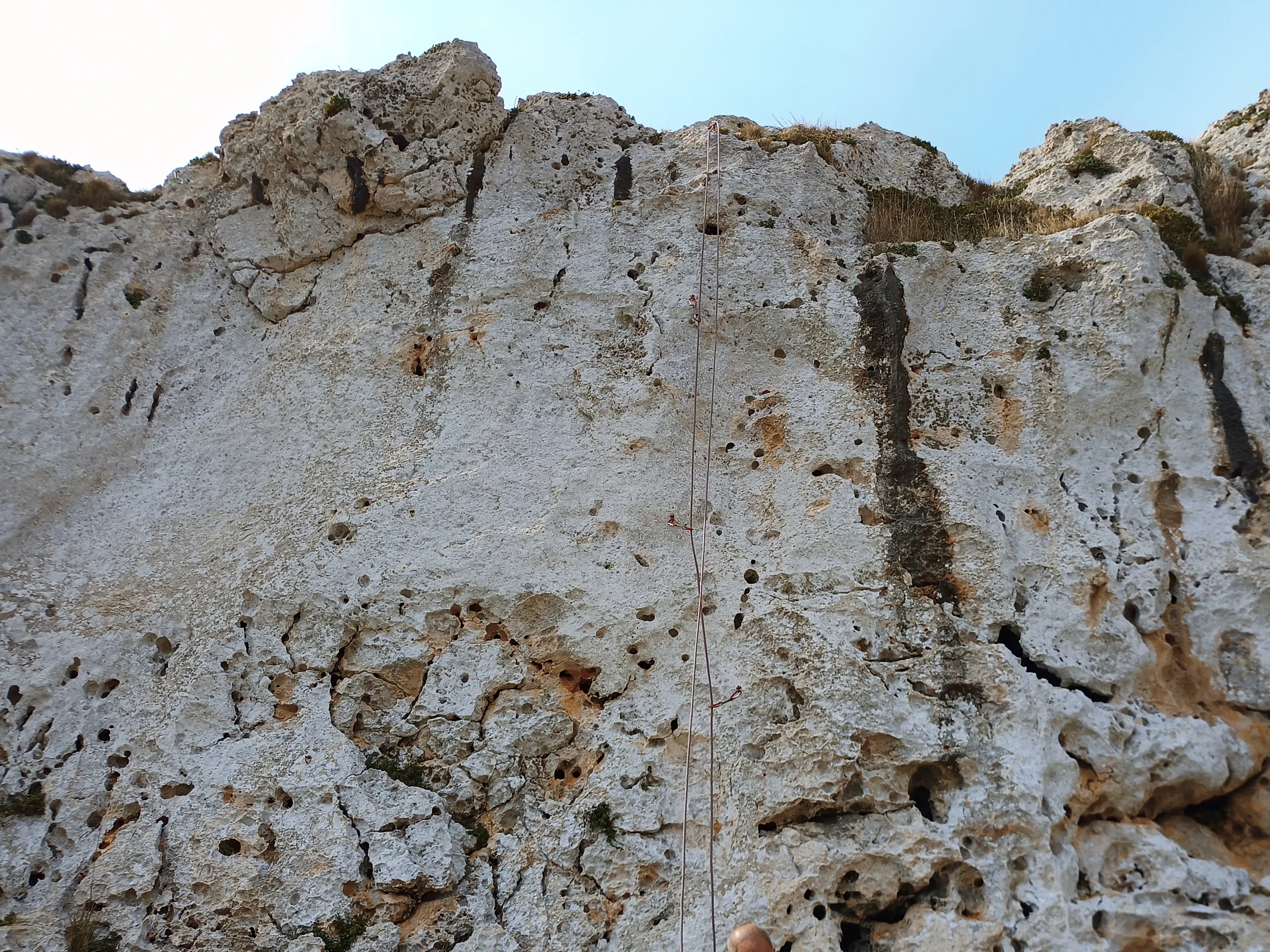 Tramontana