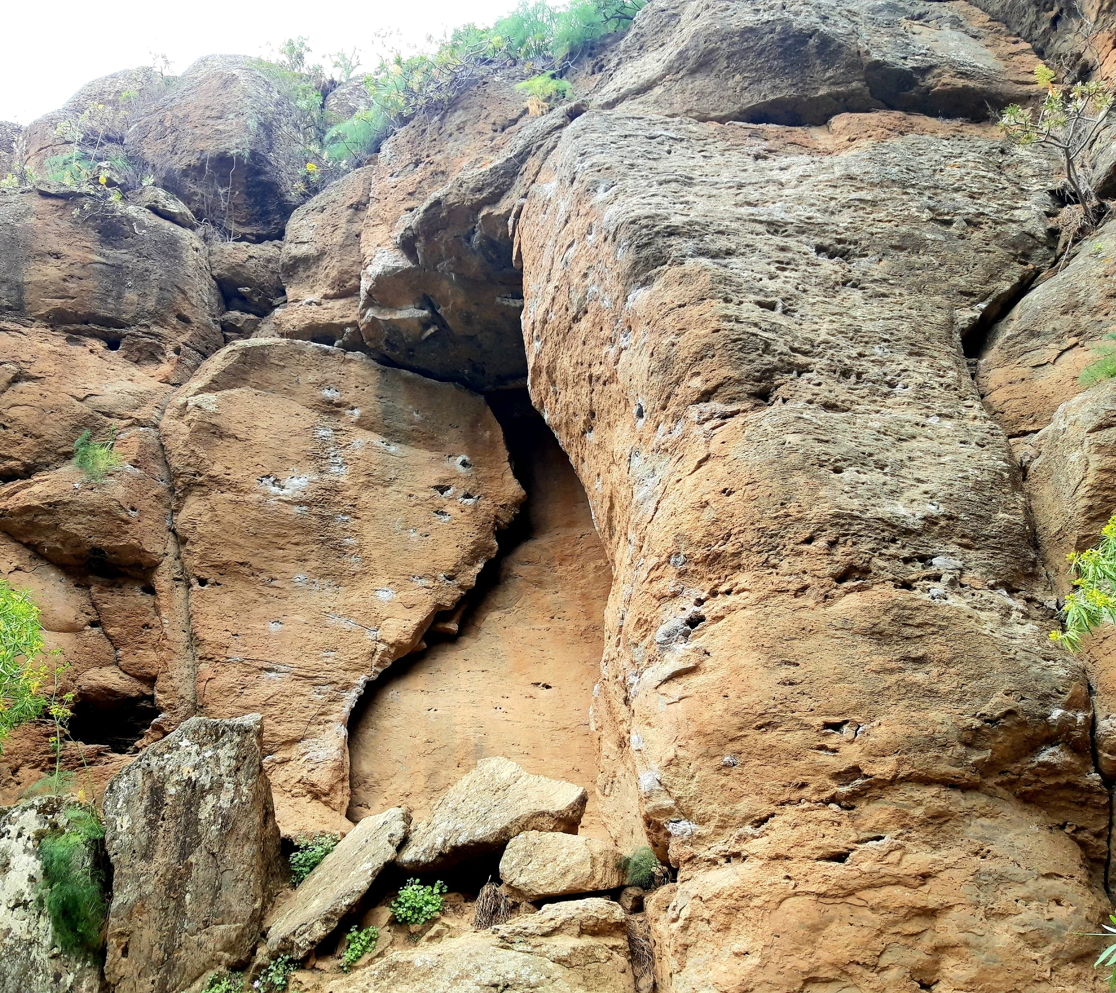 Los Pinos