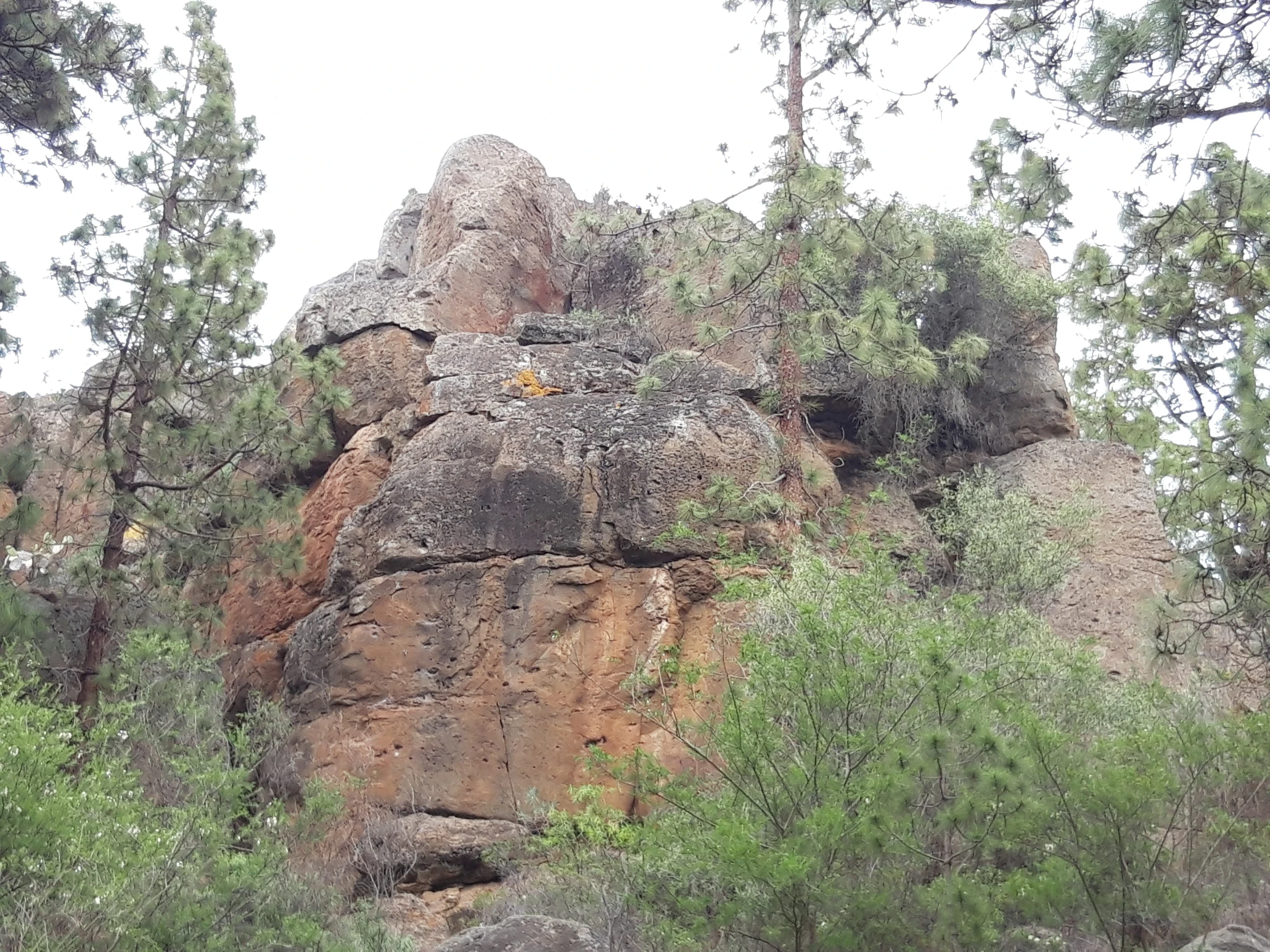 Pico Vena