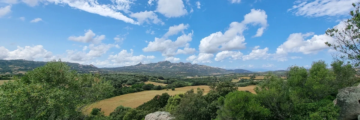 Arzachena