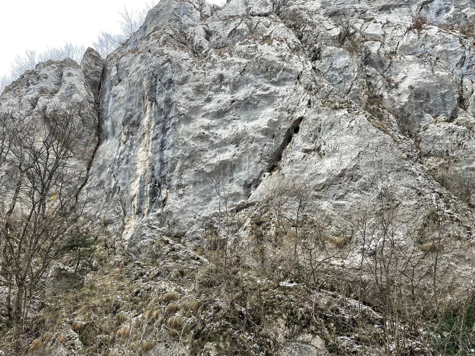 Sector Pintenul Măgarului