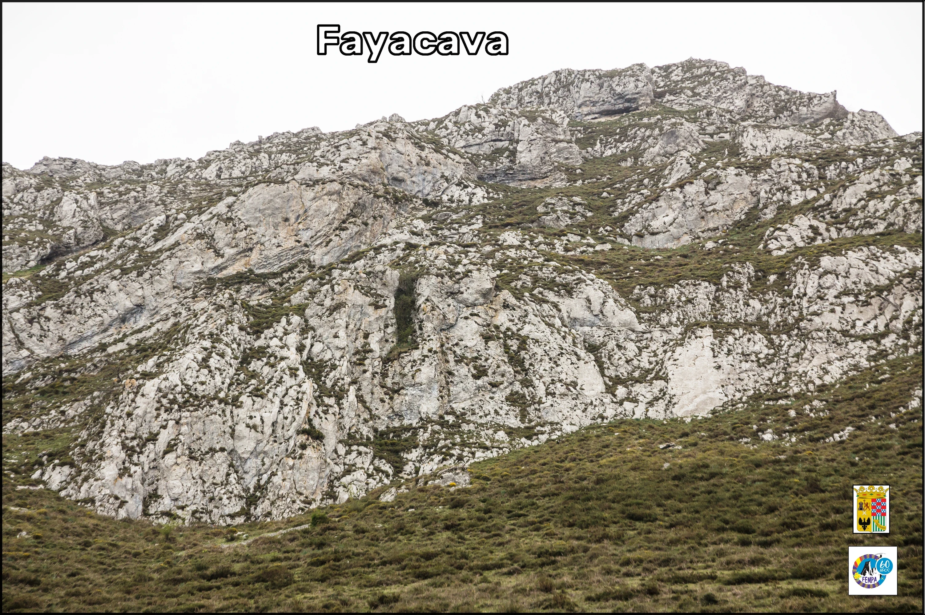 Fayacava