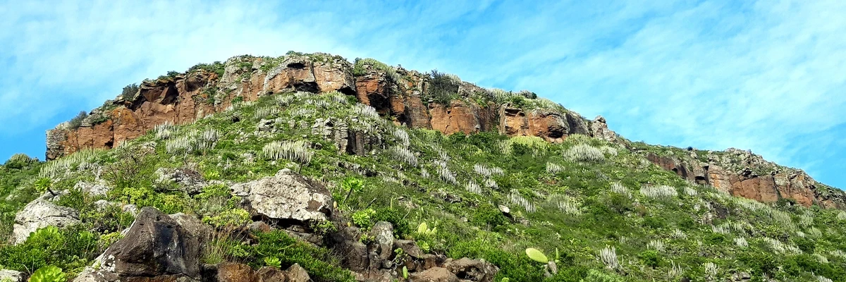 Mesa de Tejina - La Atalaya