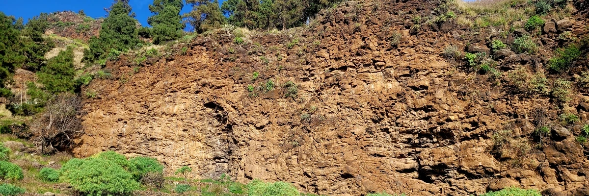 El Pino