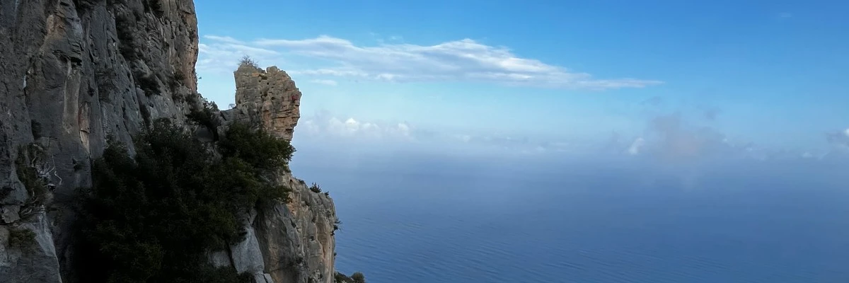 El Capo